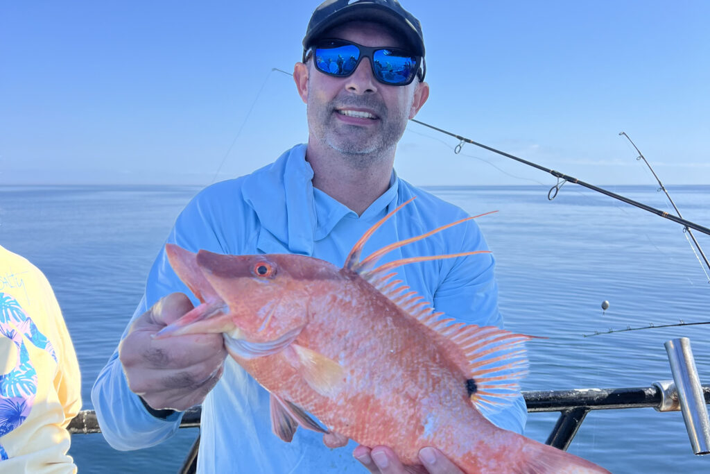 NEARSHORE-hogfish (5)