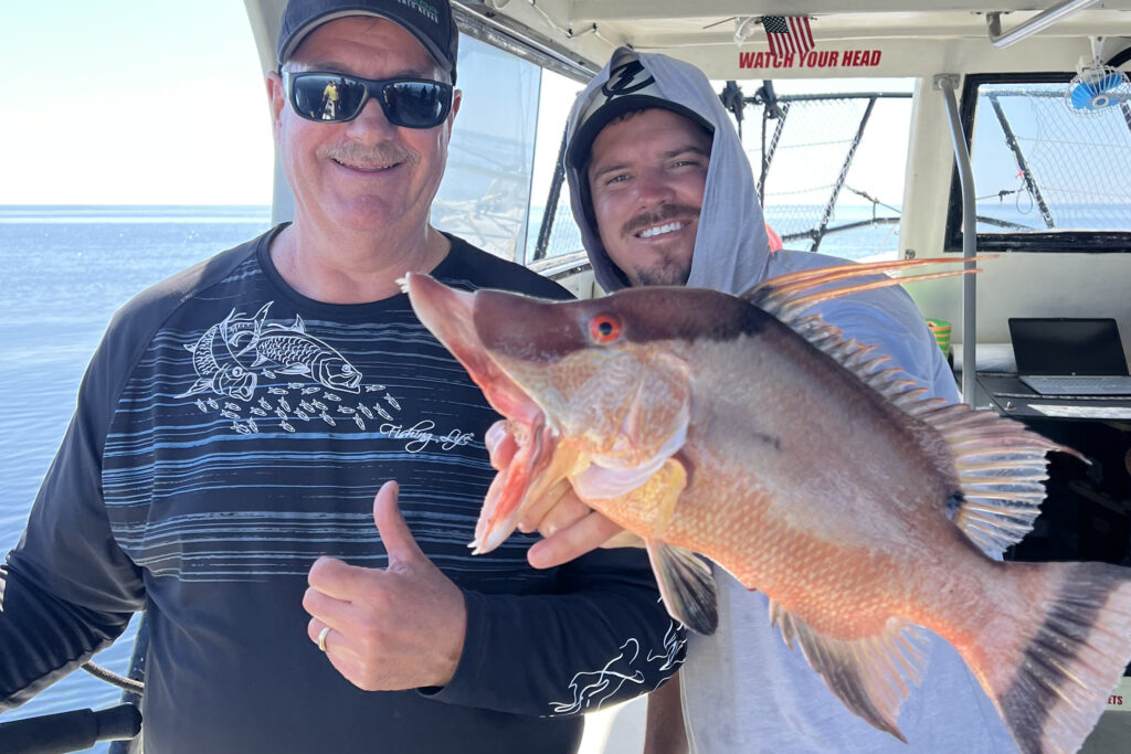 NEARSHORE-hogfish (6)