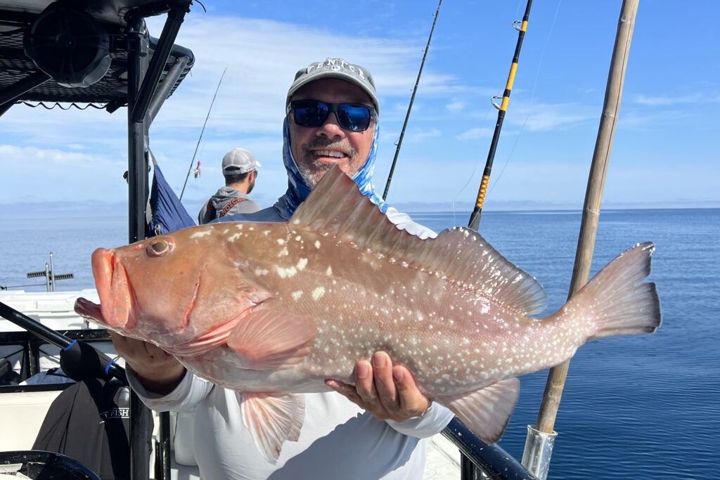 OFFSHORE-redgrouper (6)