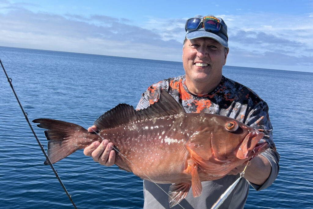 OFFSHORE-redgrouper (7)