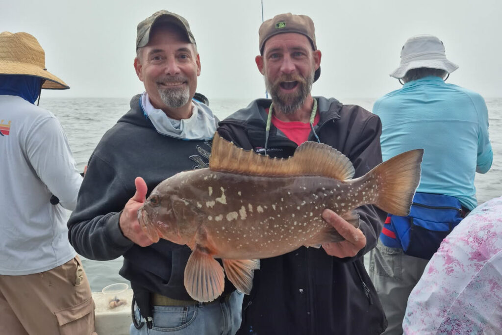 OFFSHORE-redgrouper (9)