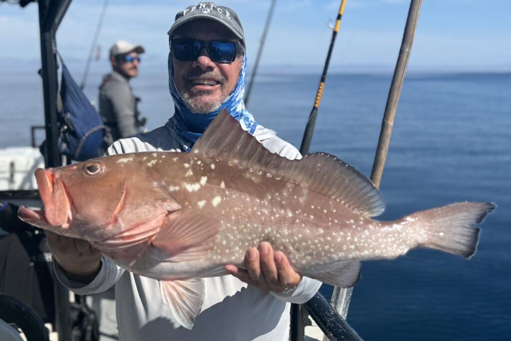 OFFSHORE-redgrouper-best (1)