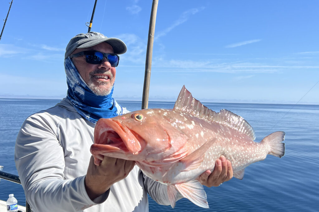 OFFSHORE-redgrouper-best